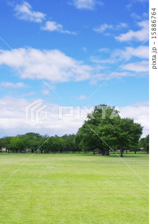 熊本城公園 熊本城公園 15886764