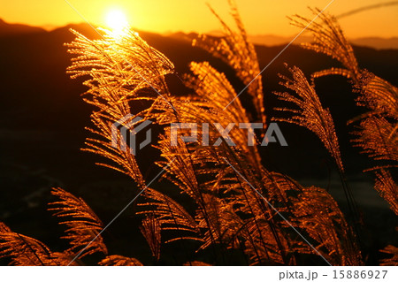 秋の夕暮れ 15886927