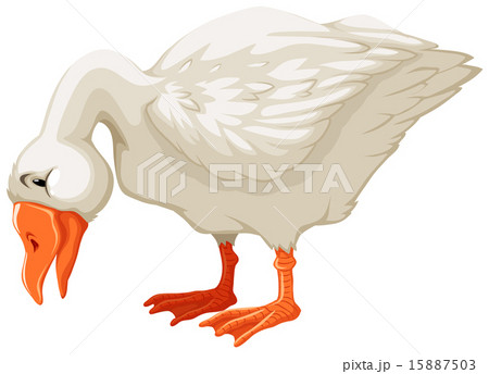 Goose Goose 15887503