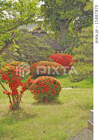 真田邸の庭 15887870