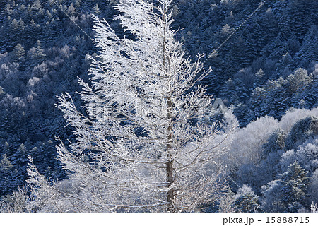 高原の初雪 高原の初雪 15888715