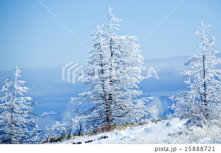 高原の初雪 15888721