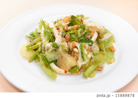 イカと野菜のおいしいサラダ イカと野菜のおいしいサラダ 15889878