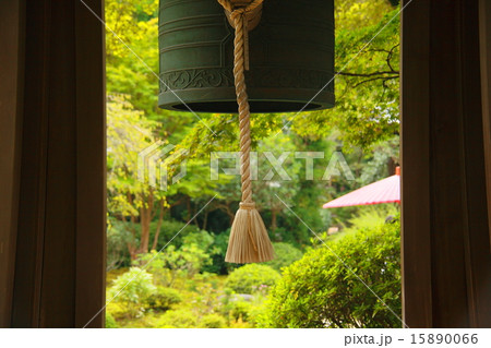 新緑の海蔵寺 新緑の海蔵寺 15890066