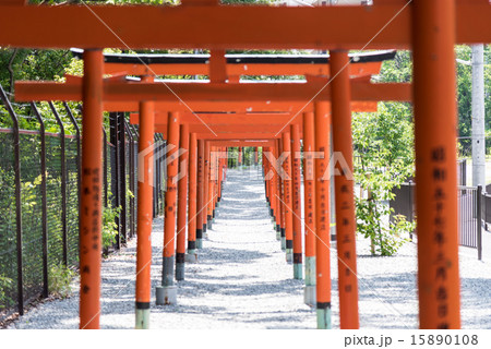 千里丘稲荷神社 15890108