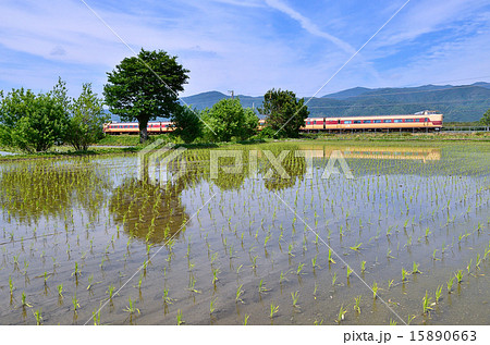 鉄道 列車 新緑 山陰本線 並河~千代川 京都 田んぼ 田園 水鏡 田植え 国鉄色 381系 鉄道 列車 新緑 山陰本線 並河~千代川 京都 田んぼ 田園 水鏡 田植え 国鉄色 381系 15890663