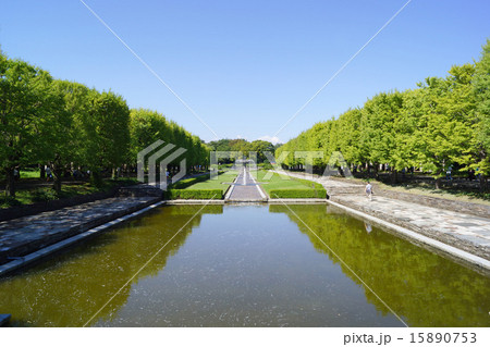 昭和記念公園　カナール 15890753