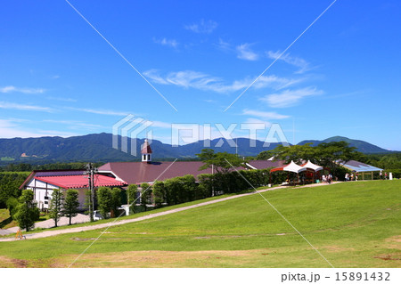 蒜山高原の牧場 蒜山高原の牧場 15891432