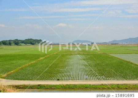 田園風景 田園風景 15891695