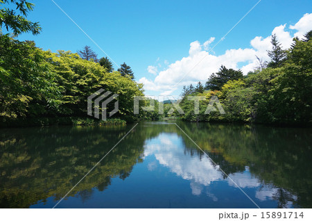 軽井沢・雲場池 15891714