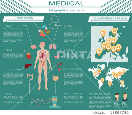 Medical and healthcare infographic 15892786