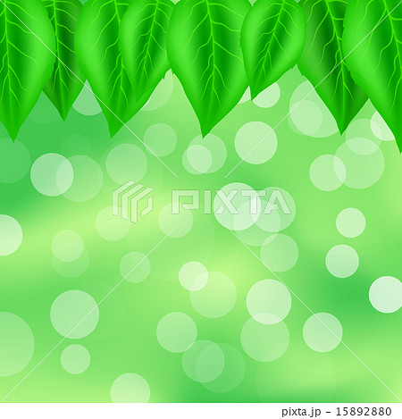 Leaves Pattern 15892880