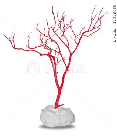 Dead red tree 15893089