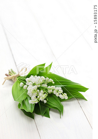 スズランの花束の写真素材