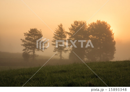 Sunrise at foggy meadow 15893348