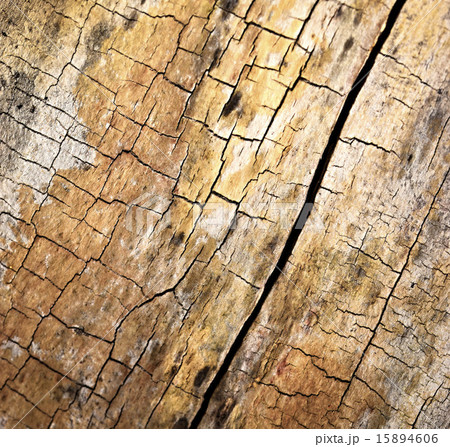Cracked rotten wood 15894606