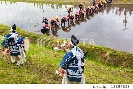 花田植え　囃子 15894833