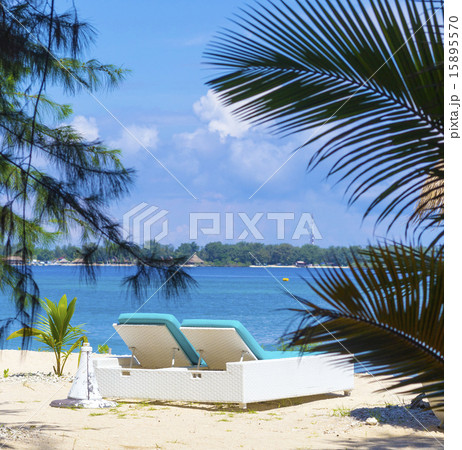 Tropical coastline. 15895570