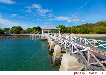 Wood bridge Wood bridge 15895901