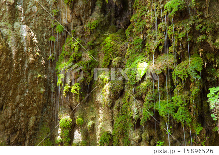 Waterfall that flows over the cliff. Waterfall that flows over the cliff. 15896526