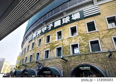 阪神甲子園球場 15896883