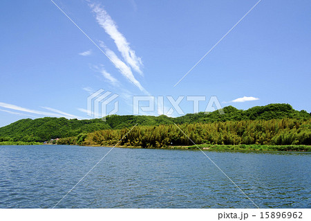 初夏の川 15896962