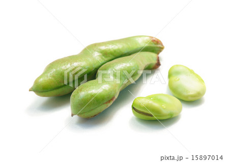 そら豆 15897014