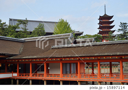 厳島神社 15897114
