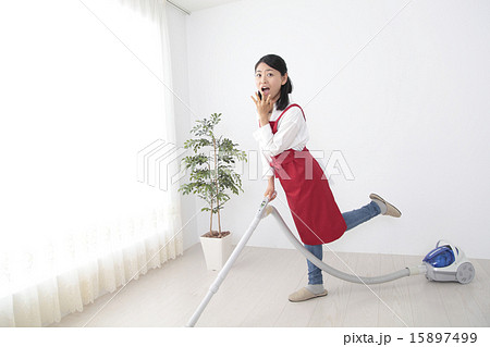 掃除、ハウスクリーニング 掃除、ハウスクリーニング 15897499