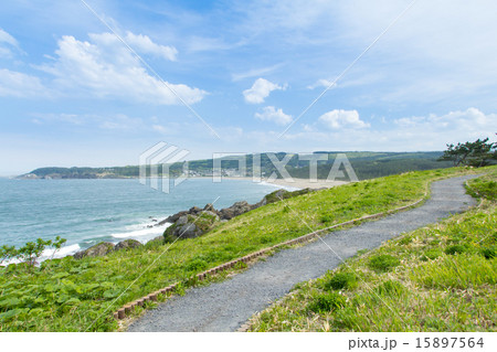青森県八戸市　国立公園種差海岸の風景 15897564
