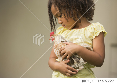 A young girl holding a chicken in her arms. 15897727