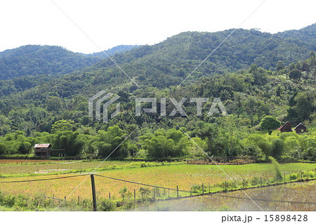 ボルネオ島・バカラランの町並み 15898428