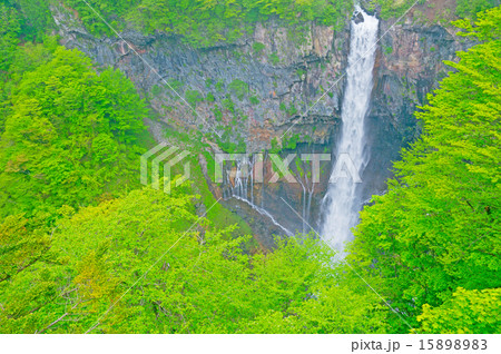 華厳の滝　春 15898983