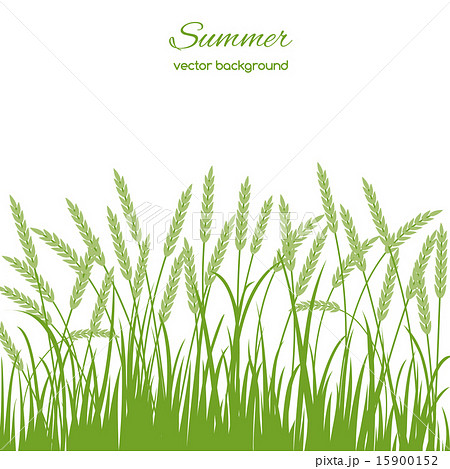 Spring card with grass 15900152