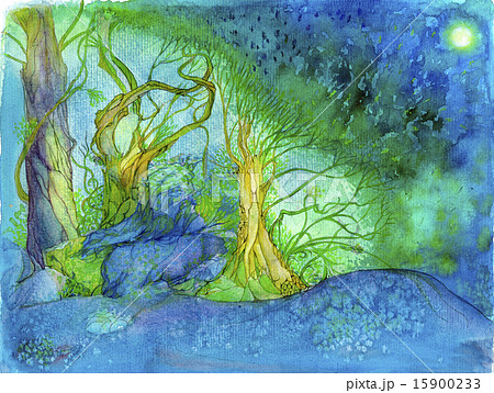 水彩画 精霊の森 のイラスト素材