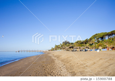 Marbella Beach on Costa del Sol Marbella Beach on Costa del Sol 15900788