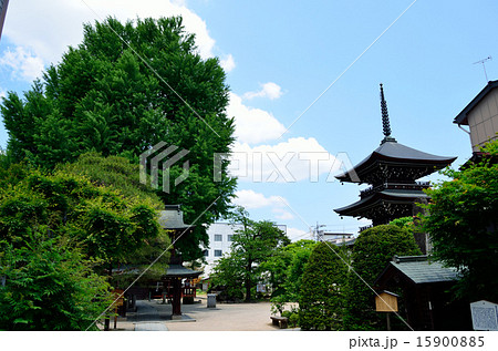飛騨国分寺 飛騨国分寺 15900885