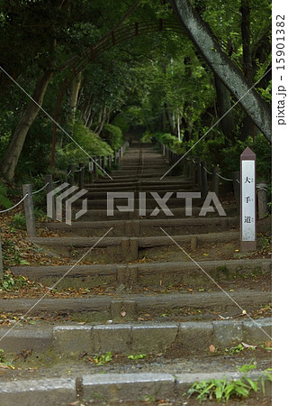 小牧山城・大手道 15901382