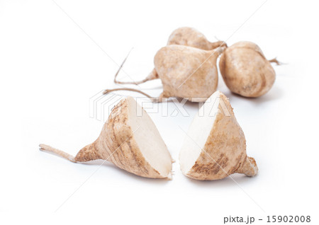 Whole Jicama isolated Whole Jicama isolated 15902008