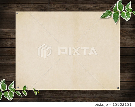 ナチュラル背景-木-葉 15902151