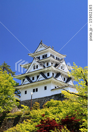 郡上八幡城 15902165