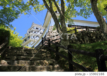 郡上八幡城 15902166