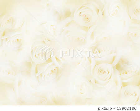 ナチュラル背景 バラのイラスト素材