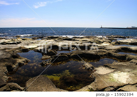 九十九湾 九十九湾 15902394