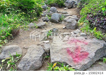 山の道標 (11) 山の道標 (11) 15902414