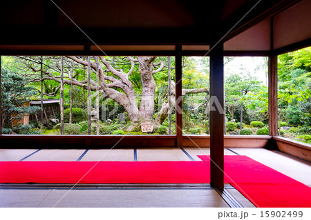 宝泉院にて 宝泉院にて 15902499