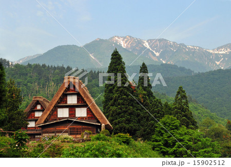初夏の白川郷 初夏の白川郷 15902512