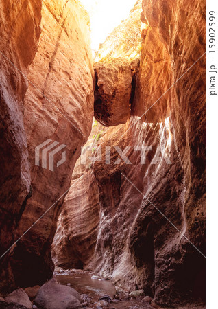 Avakas Gorge. Paphos District, Cyprus 15902599
