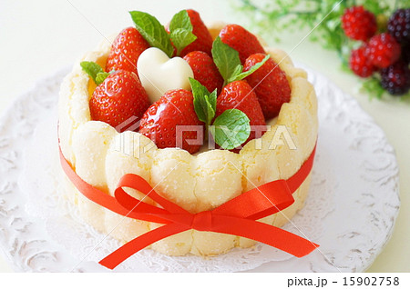 シャルロットケーキ シャルロットケーキ 15902758