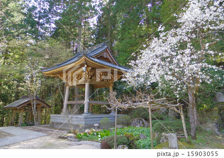 信州安曇野 満願寺の鐘楼 信州安曇野 満願寺の鐘楼 15903055